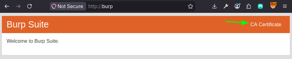 burpcert.png